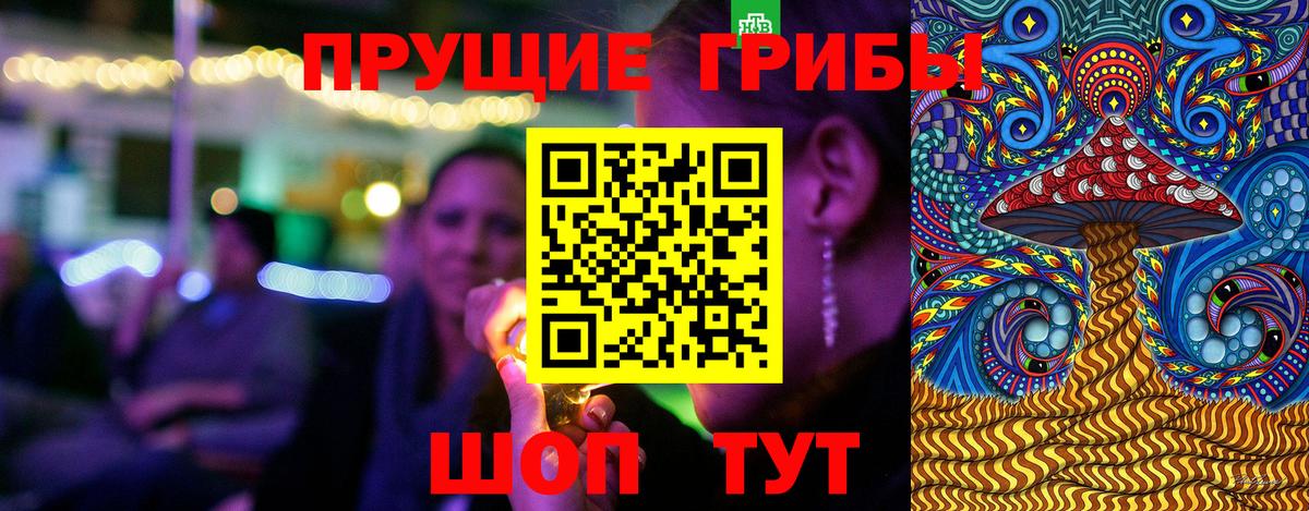 Псилоцибиновые грибы Psilocybe  Вход с VPN  Красноармейск 