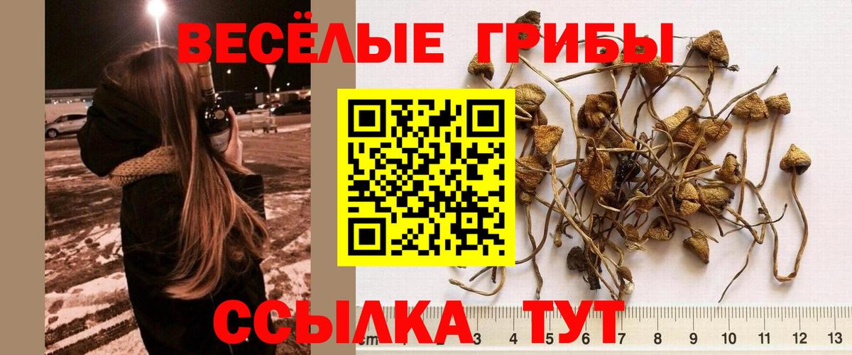 МЕФ кристаллы  Красноармейск  МЕТ  АМФ   ГАШ  Вход с VPN  Бошки Шишки  A PVP СОЛЬ  